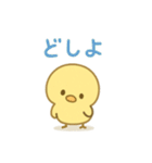 主張しすぎない！ひよこ 83（個別スタンプ：23）