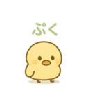 主張しすぎない！ひよこ 83（個別スタンプ：31）