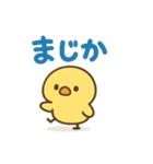 主張しすぎない！ひよこ 83（個別スタンプ：36）