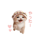 動く スコティッシュ猫 可愛い＆優しい日常（個別スタンプ：3）