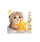 動く スコティッシュ猫 可愛い＆優しい日常（個別スタンプ：8）