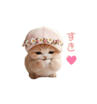 動く スコティッシュ猫 可愛い＆優しい日常（個別スタンプ：12）
