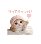動く スコティッシュ猫 可愛い＆優しい日常（個別スタンプ：13）