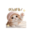 動く スコティッシュ猫 可愛い＆優しい日常（個別スタンプ：20）
