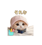 動く スコティッシュ猫 可愛い＆優しい日常（個別スタンプ：21）