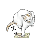 意外と使える吹き出し付きリアル猫 2（個別スタンプ：3）