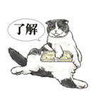 意外と使える吹き出し付きリアル猫 2（個別スタンプ：4）