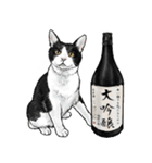 意外と使える吹き出し付きリアル猫 2（個別スタンプ：5）