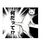 意外と使える吹き出し付きリアル猫 2（個別スタンプ：8）