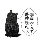 意外と使える吹き出し付きリアル猫 2（個別スタンプ：19）
