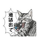 意外と使える吹き出し付きリアル猫 2（個別スタンプ：22）