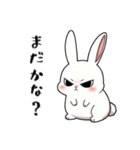 ネガティブ うさぎ（個別スタンプ：40）