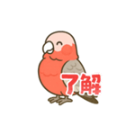 ももりんの会話（個別スタンプ：1）