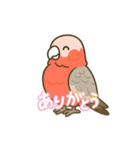 ももりんの会話（個別スタンプ：2）