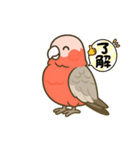 ももりんの会話（個別スタンプ：3）