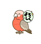 ももりんの会話（個別スタンプ：5）