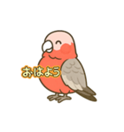 ももりんの会話（個別スタンプ：6）