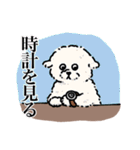 向かいに、いぬ。6（個別スタンプ：2）
