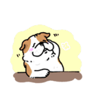 向かいに、いぬ。6（個別スタンプ：7）