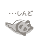 【非日常】パンダのレイが通るスタンプ5（個別スタンプ：2）