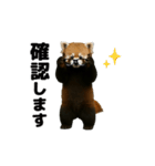 動く！レッサーパンダ3（個別スタンプ：4）