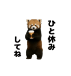 動く！レッサーパンダ3（個別スタンプ：7）