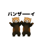 動く！レッサーパンダ3（個別スタンプ：14）
