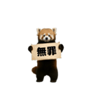 動く！レッサーパンダ3（個別スタンプ：21）