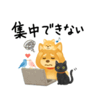ネガティブ時々がんばる♡豆柴（個別スタンプ：3）