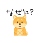 ネガティブ時々がんばる♡豆柴（個別スタンプ：24）