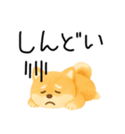 ネガティブ時々がんばる♡豆柴（個別スタンプ：27）