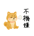 ネガティブ時々がんばる♡豆柴（個別スタンプ：30）