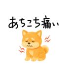 ネガティブ時々がんばる♡豆柴（個別スタンプ：34）