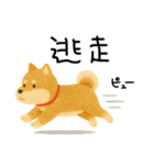 ネガティブ時々がんばる♡豆柴（個別スタンプ：37）