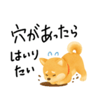 ネガティブ時々がんばる♡豆柴（個別スタンプ：39）