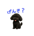 ふわふわトイプードルで日常会話（個別スタンプ：1）