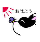 うちの家族のミミちゃん（個別スタンプ：1）