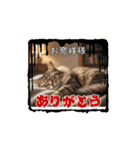 うしこ100e（個別スタンプ：4）