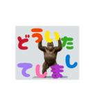 まわるゴリラ！面白い可愛い（個別スタンプ：6）