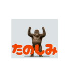 まわるゴリラ！面白い可愛い（個別スタンプ：13）