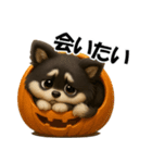 『ハロウィン』3D黒ポメ（個別スタンプ：14）