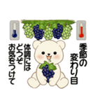 癒しを運ぶくまさん ♡ ほっこり秋（個別スタンプ：16）