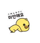 動くそばかすぴよこ 2（個別スタンプ：4）