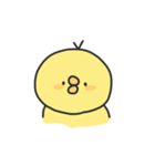 しろくまとひよこ3（個別スタンプ：13）