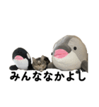 こむぎちゃんのねこちゃんスタンプ（個別スタンプ：2）