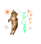 みゅうみゅう2025（個別スタンプ：1）