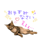 みゅうみゅう2025（個別スタンプ：2）