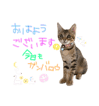 みゅうみゅう2025（個別スタンプ：5）