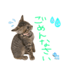 みゅうみゅう2025（個別スタンプ：6）