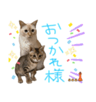 みゅうみゅう2025（個別スタンプ：7）
